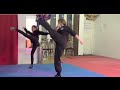 Choy Li Fut Kung Fu | Crane form demonstration.