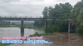 കണ്ണമ്പ്ര തോട്ടുപാലത്തു വെള്ളത്തിൽ ഒഴുകി വരുന്ന തേങ്ങ പിടിക്കുന്ന കാഴ്ച്ച...