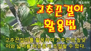 고추끈걸이 활용법/고추끈의 높낮이와 넓이를 자유롭게 조절