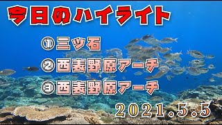 2021年5月5日のダイビングハイライト【石垣島】梅雨入りしたけど良い天気〜♪