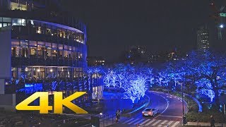 Tokyo Midtown Christmas Lights 東京ミッドタウン クリスマスイルミネーション2016 (SONY RX100M4) 4K UHD - TOKYO TRIP