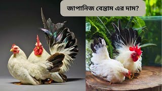 জাপানিজ বেন্তাম মুরগির দাম কত? কোথায় পাব? Japanese Bentam chicken price in Bangladesh \u0026 India-