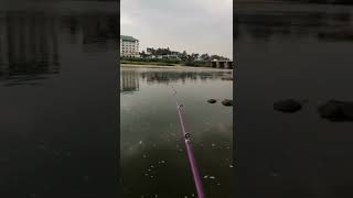 Fishing at PATTAMBI 🎣 🐟🐟🐟🐟🐟🐟