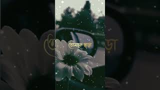 বুঝলে প্রিয়  #love #video #whatsappstatus #statusquotes #status