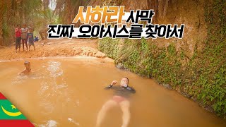 진짜 사막의 진짜 오아시스는 어떻게 생겼을까? 【마그레브5】