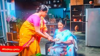 intinti Ramayanam serial latest promo