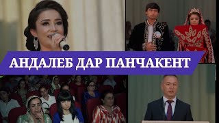 Андалеб дар шахри Панчакент