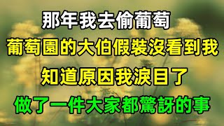 那年我去偷葡萄，葡萄園的大伯假裝沒看到我，知道原因我淚目了，做了一件大家都驚訝的事#分享 #故事 #情感故事 #老公 #家庭 #感情 #婚姻 #温情