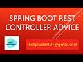 Spring boot  rest controller advice