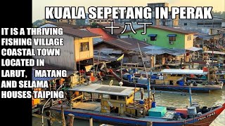 Drone DJI Mini 2 | Kuala Sepetang 十八丁渔村 is a thriving fishing village