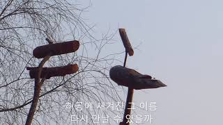 세월의 바람(임채일) - 이미경 소프라노 2020 (황유성 시) /일산호수공원