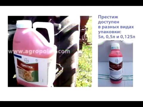 Купить Протравитель Семян Престиж