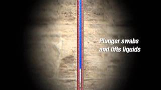 PCS FlowThru Plunger