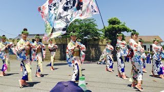 天空しなと屋 茜丸 川棚舞龍祭2017 福龍会場