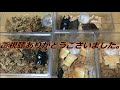 【開封動画】肉球和哲さんより〜届きました‼️