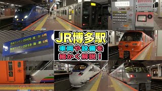 【JR九州】博多駅で車両ウォッチング！難読駅名クイズも！？