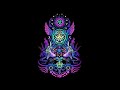 Hypnocoustics -  Unite Psytrance Sessions Iboga Records  (2020)