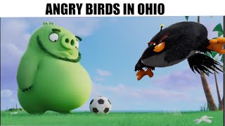 normal day in angry birds ohio 💀