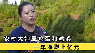 苗家女低成本養雞，靠雞蛋和雞糞年賺上億元，成為村中首富 #于途史紀 #古墓 #考古發現 #考古 #盜墓筆記