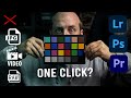 Fix Basic White Balance Problems with One Click | Lightroom Photoshop Premiere Pro | SpyderCHECKR 24