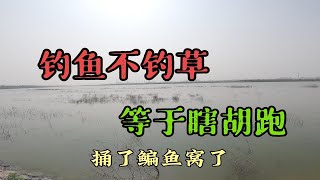 钓鱼不钓草，等于瞎胡跑，草窝里作钓捅了鳊鱼窝了