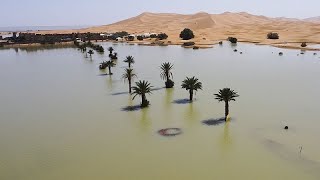 Le Sahara transformé par les pluies diluviennes