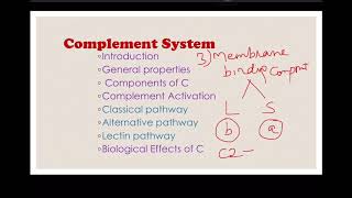Complement system - classical pathway