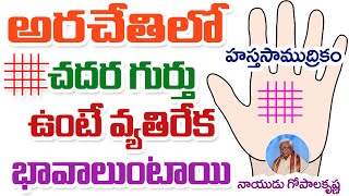 అరచేతిలో చదర గుర్తు ఉంటే వ్యతిరేక భావాలుంటాయి || హస్తసాముద్రికం || నాయుడు గోపాల కృష్ణ @DaivaBhakthi