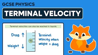 Terminal Velocity - GCSE Physics