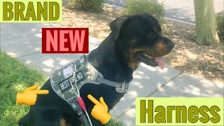 Auroth Tactical Dog Training Harness                           #Rottiestoriches #Rottweiler #Harness