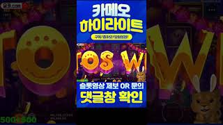 (slot)(Pragmatic Play)(슬롯) 💙MUERTOS MULTIPLIER MEGAWAYS💙 슬롯 카메오 사자 무에르토스 700배 멀티 138배에는 뭐가 붙어도 잭팟이죠!