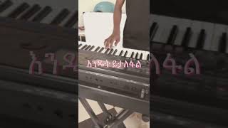 ጌታ ነው በህይወቴ መልካም ያደረገው// Daniel_A/michael//classical//በኪቦርድ የተሰራ #protestantmezmur #music #keyboard