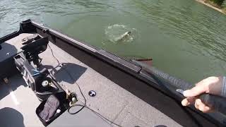 PMTT- Recon Boats Video Bonus Bucks Saturday