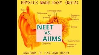 ANATOMY OF EAR; THE KIDENY; CRANIALS NERVESES; PENCRIES; THE EYE BALL; TRICUSPID VALVE FOR NEET -5 ;