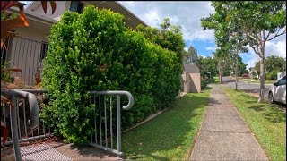 Big hedge is BLOCKING the view from balcony