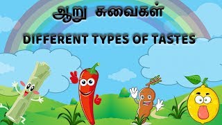 DIFFERENT TYPES OF TASTES | ஆறு சுவைகள்