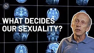 Can science explain our sexual orientation? | Experts Explain
