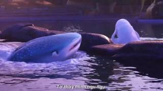 FINDING DORY - ĐI TÌM DORY - TRAILER G