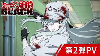 「はたらく細胞BLACK」第2弾PV│2021年1月9日放送開始