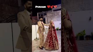 ❤️ Punjabi 😍 cute 😘 couple 😘 new 💕 status #punjabi #cute #wedding #status #new #viral #youtube
