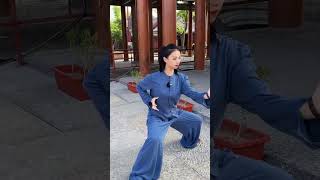 Tai Chi |太极者，无极而生，动静之机，阴阳之母 #kungfu #taichi #taichiquan  #功夫 #太极  #太极拳 #中国功夫 #中华武术 #chunli #taiji