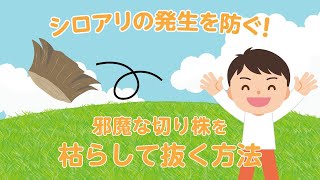 【切り株の枯らし方】シロアリを防ぐ！邪魔な切り株を枯らして抜く方法