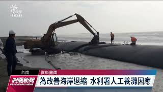 台南設海岸防護合作平台 七股潟湖沙洲復育見成效｜20221124 公視晚間新聞