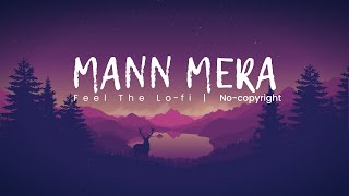 Mann Mera | Table No 21 | Lofi Remake Shantanu Music | Chill and Relaxing