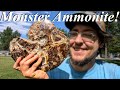 We Found a MONSTER Ammonite Covered in Sutures and Ammolite! Fossil Hunt, Repair, Prep, and Polish!