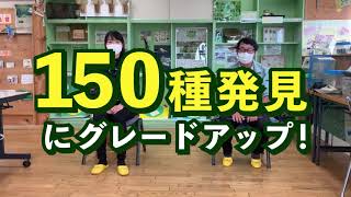 【CM】多摩川自然情報館周辺の多摩川の野草150種見つけるまで帰れま10