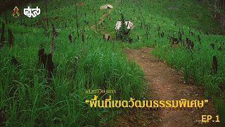 เสวนาและนำเสนอบทเรียนการประกาศ พื้นที่เขตวัฒนธรรมพิเศษ | EP.1