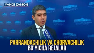 Parrandachilik va chorvachilik bo'yicha rejalar