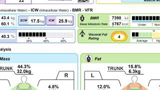 Tanita Body Composition Report