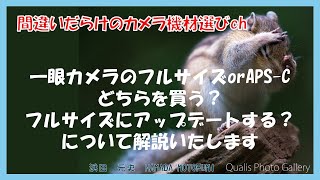 間違いだらけのカメラ機材選びch 「 一眼カメラのフルサイズとAPS-Cどちらを買う？フルサイズにアップデートしますか？について解説いたします」